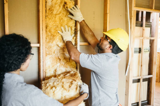 Best Insulation Inspection Services  in Rosemont, PA