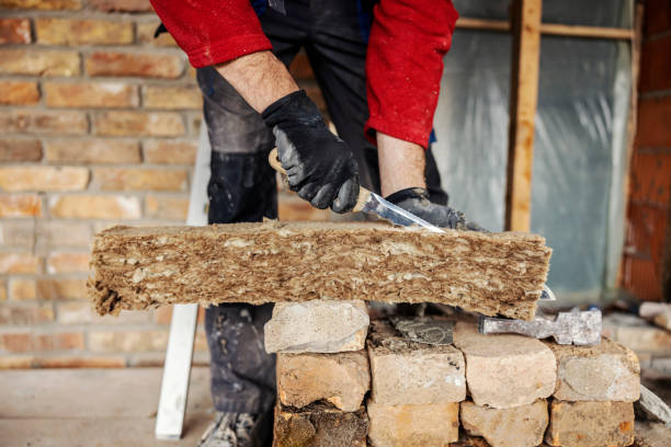 Best Insulation for New Construction  in Rosemont, PA