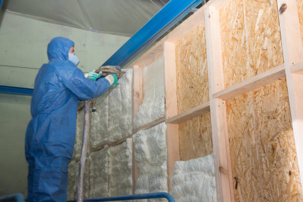 Best Cellulose Insulation  in Rosemont, PA